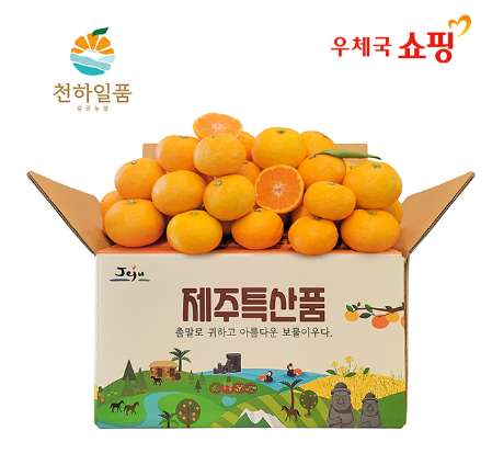  제주 감귤 3kg부터 10kg까지 다양하게 있어! 신선한 제철 감귤 맛보자.