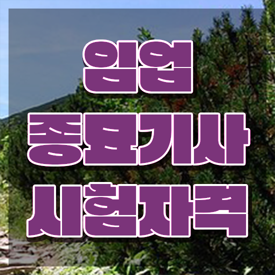  임업종묘기사 취득자격 인강만 듣고 간단하게 준비한 방법