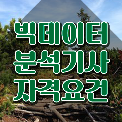  빅데이터분석기사 기간 , 빅데이터분석기사 응시자격 온라인으로 단기간에 성공한 팁