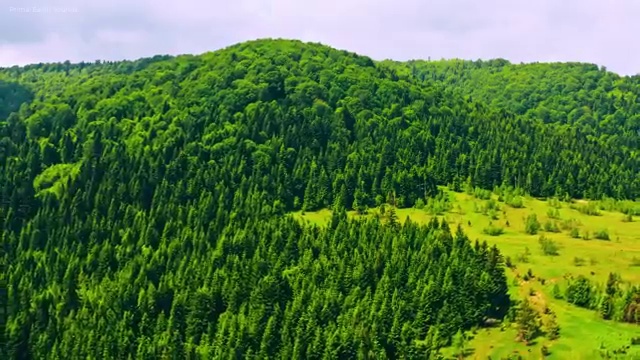  사회복지사자격증취득안내 , 사회복지사2급 중년 직장인도 학은제로 빠르게