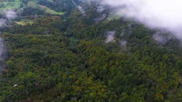  학점은행제 산업안전기사 , 학점은행제 학사학위 온라인 원격 평생교육원 통해서 준비했던 꿀팁 모음