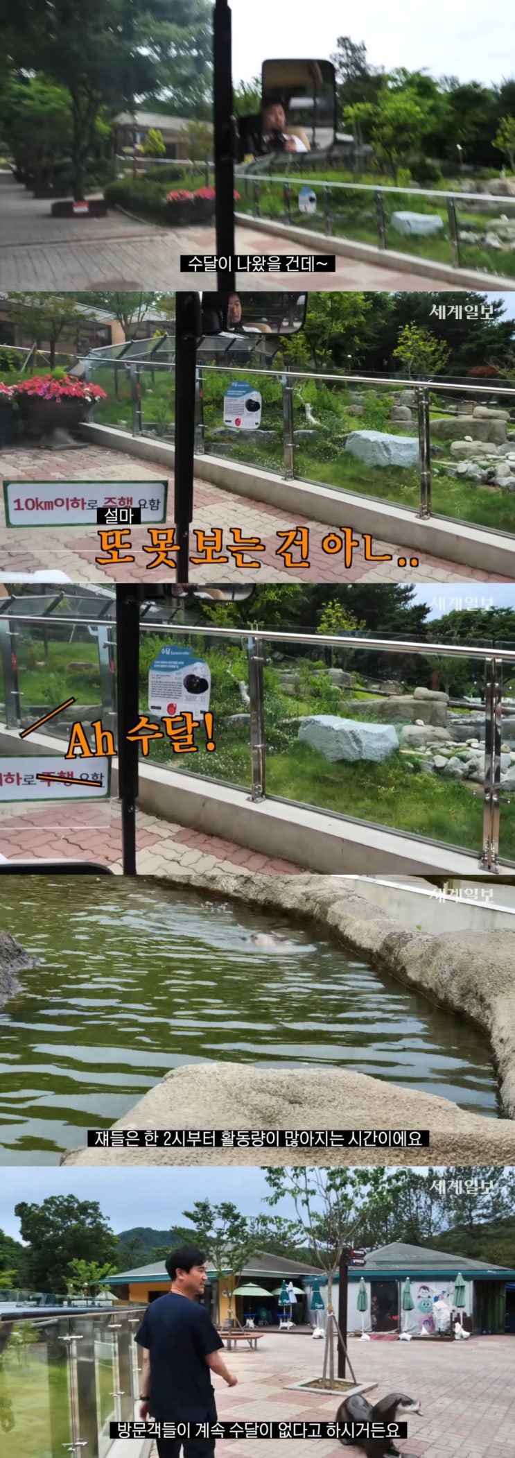 최대한 자연친화적으로 운영된다는 청주 동물원