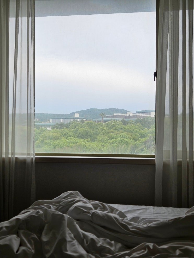  제주 중문 숙소 블룸호텔 패밀리트리플 서귀포 가성비 호텔 추천