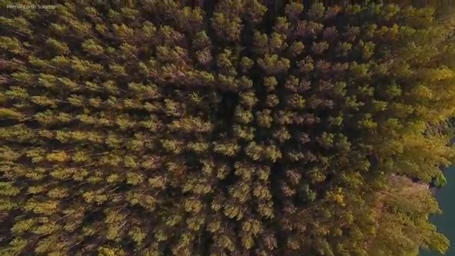  커트지도사 무료수강 , 커트지도사 자격증 2주 만에 합격한 팁 궁금증 해결