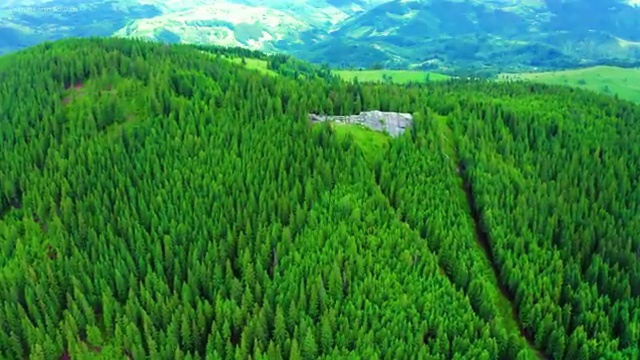 학점은행제 경영학 48학점 , 경영학 학사 관련학과 졸업장, 경력없어도 빠르게 준비했던 후기