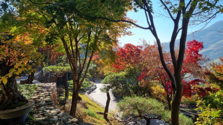  서울근교 단풍명소 화담숲 예약, 방문후기