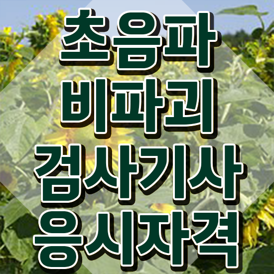  초음파비파괴검사기사 응시자격 온라인 과정으로 간편하게 끝낸 노하우