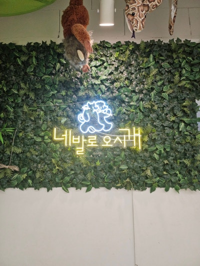 사진 2