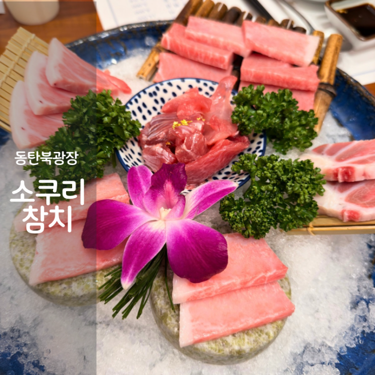  동탄 북광장 참치 맛집 소쿠리참치 참다랑어 뱃살