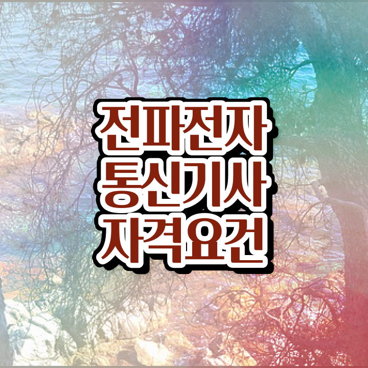  전파전자통신기사 취득자격 독학으로 단기간에 완료한 과정