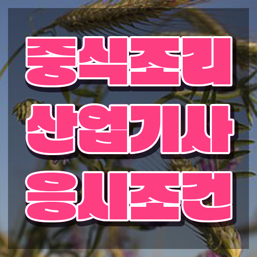  중식조리산업기사 필기 과목 중식조리산업기사 응시조건 학점은행제로 간단하게 완료한 방법