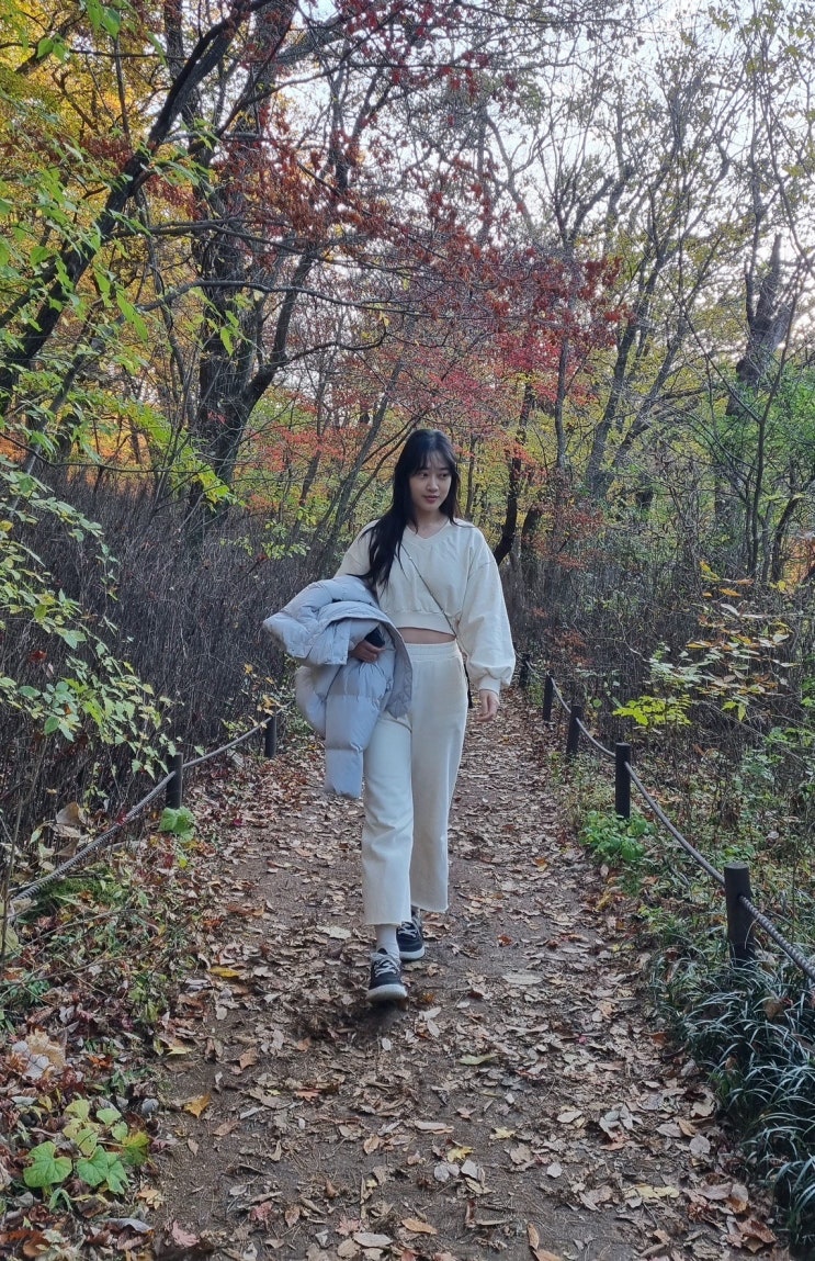  충북 보은 가볼만한곳 정이품송/법주사/말티재 전망대 가을 단풍 당일치기여행 코스추천