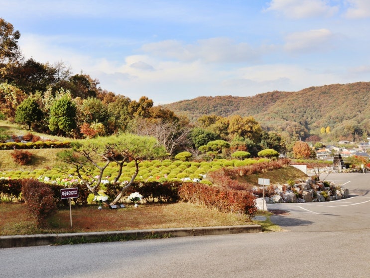  용인수목장 장점 영구성 기간