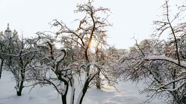  , 부동산권리분석사자격증 인강만 듣고 합격한 팁 핵심 정보 정리