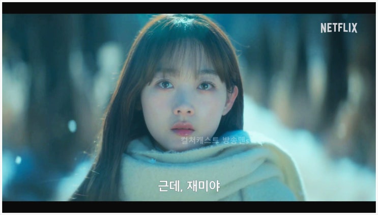  미스터 플랑크톤 넷플릭스 줄거리 몇부작 공개일 출연진 시청등급 연출 극본 로맨틱코미디 우도환 이유미 홍종찬 조용 오정세 김해