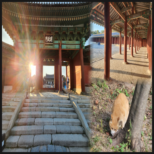  종로 관광지 종묘와 창경궁에 다녀온 후기