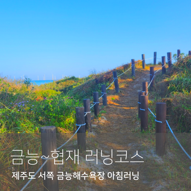제주도 러닝코스 서쪽 금능해수욕장 ~ 협재해수욕장 아침 달리기