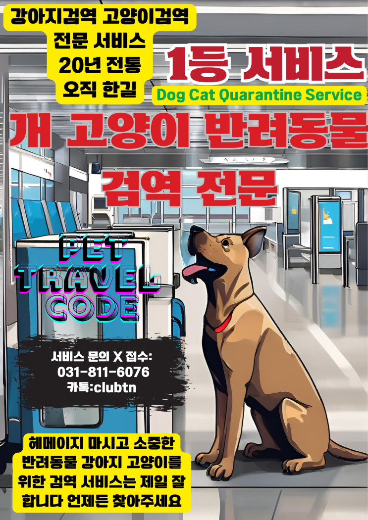  강아지검역 고양이검역 반려동물검역 애완동물검역 전문 동물검역 서류 출국 준비 서비스 개 고양이 전문