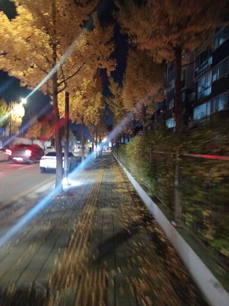  충주 고기 맛집 교현동 차돌집 한우 차돌박이