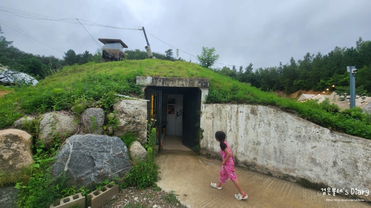  강원도 양양 동물 체험 카페 가볼만한곳 벙커 38.1 양양 아이와 여행 볼거리 놀거리