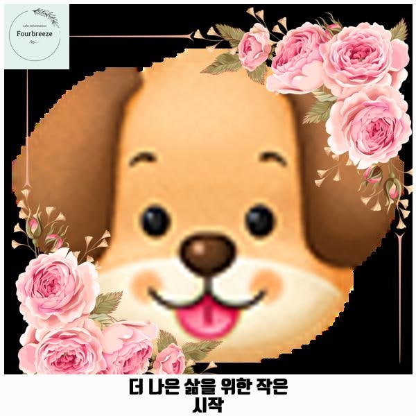 사진 4
