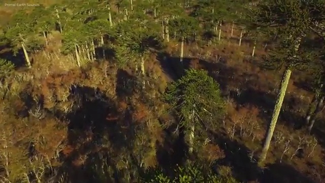  반려동물복지관리사 , 반려동물관리사 자격증 취득한 노하우 정리해봤어요