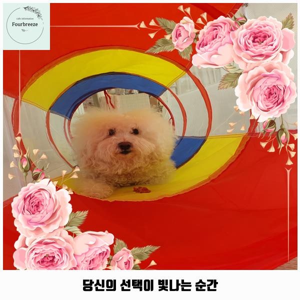 사진 5