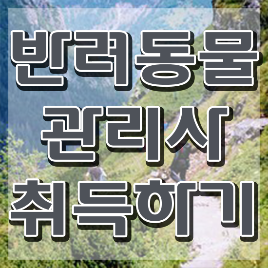  반려동물 생활관리사 , 반려동물관리사 자격증 취득한 정보 알려드립니다