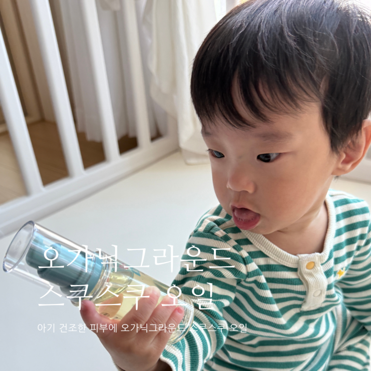 아이 피부관리 오가닉그라운드 스쿠스쿠 오일 아이 피부관리 오가닉그라운드 스쿠스쿠 오일