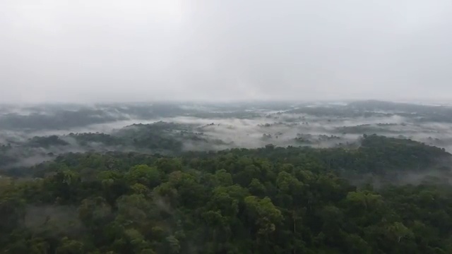  , 부동산권리분석사자격증 공부한 방법 및 학습과정