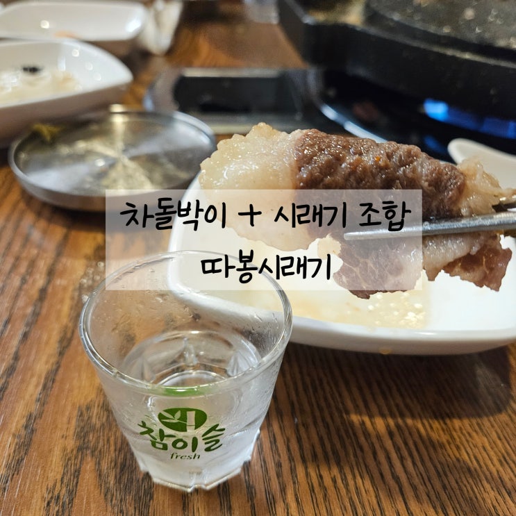  돌판에서 구운 시래기 차돌박이 쌈 / 빛가람동 점심 맛집 따봉시래기나주혁신점