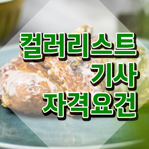  컬러리스트기사자격증 컬러리스트기사 시험자격 인강으로 빠르게 끝낸 후기