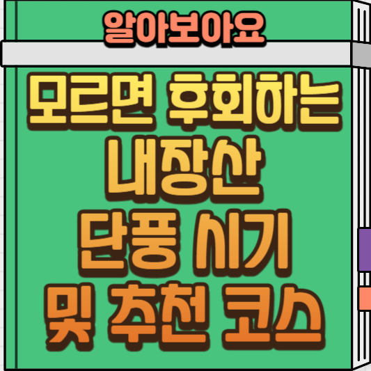  2024 내장산 단풍 시기 및 추천 관광 코스 총정리