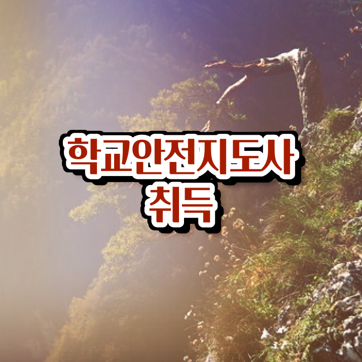  학교안전지도사 취업 , 학교안전지도사 자격증 독학으로 합격한 전략 , 전망