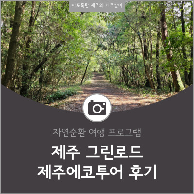  친환경 관광 여행 프로그램 제주 그린로드 코스1 제주에코투어 참여 후기