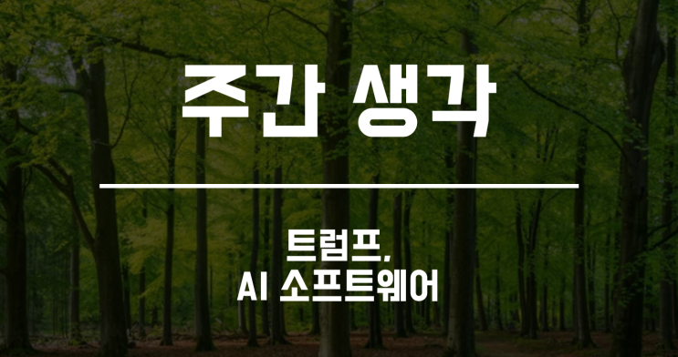 [주간 생각] 트럼프의 <b>대선 승리</b>, AI 소프트웨어의 시대