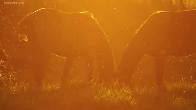 인산서구동화구연지도사 , 동화구연지도사 자격증 합격한 전략 요약