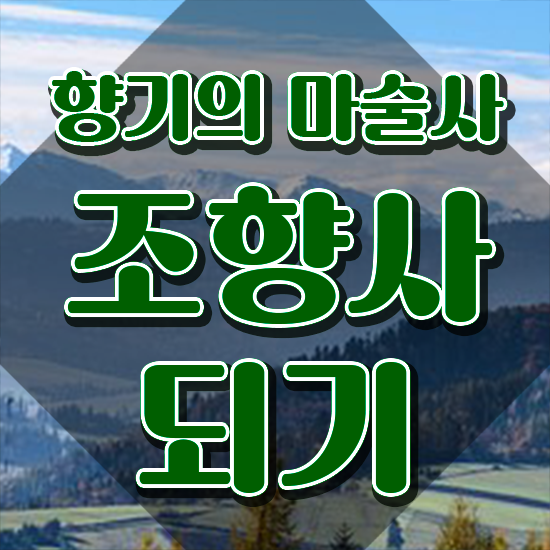  , 조향사 준비 과정 , 합격률 및 취업