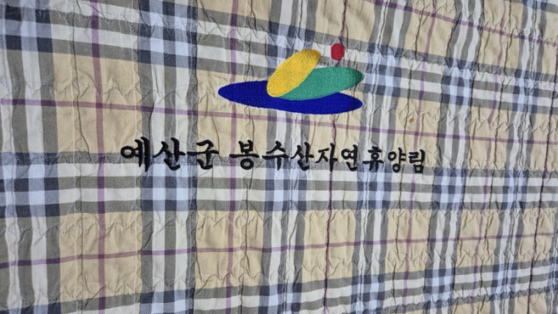 [예산] 봉수산 자연휴양림 휴양관 꾀꼬리 후기