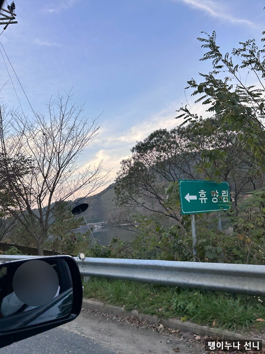 고목정 사진 3