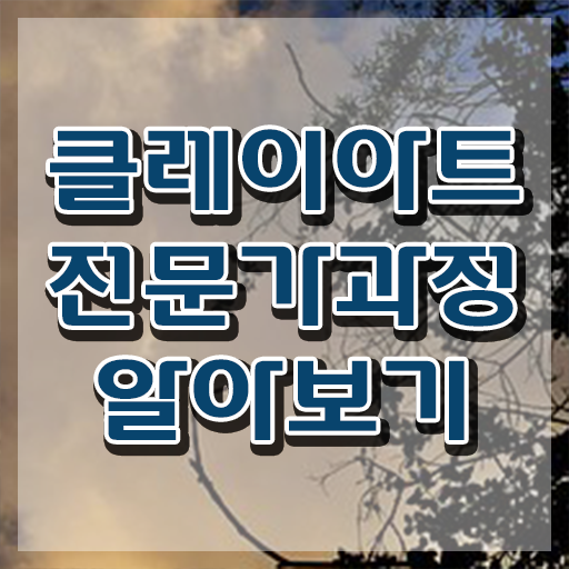  어린이클레이 , 클레이아트전문가 자격증 비용없이 온라인으로 합격한 전략 , 전망