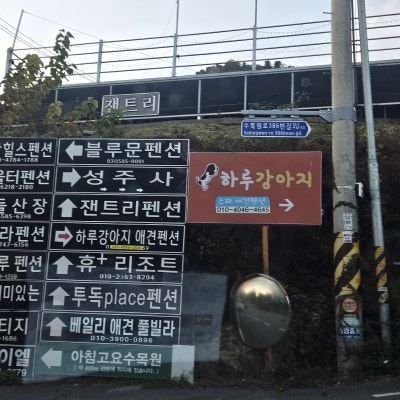사진 9