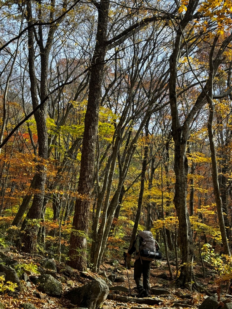  지리산 등반 등산코스 1부 (백무동~장터목대피소~천왕봉 1박2일, 어머니의 산에서 어리석음을 깨우쳤겠지??)