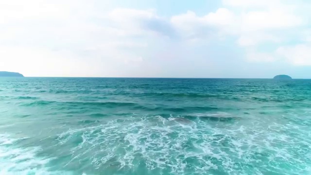  꽃꽂이 물 , 플로리스트 자격증 1달 만에 합격정보 및 고용 전망