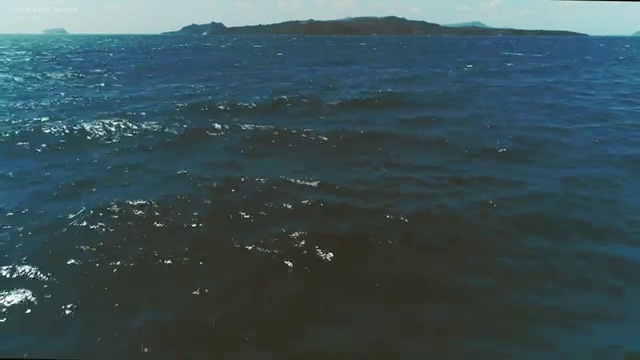  산림기사 자격조건 , 산림기사 취득자격 온라인으로 간단하게 완료한 방법
