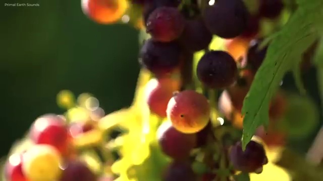  40대후반자격증 , 명리심리상담사 관련학과 졸업장, 경력없어도 간편하게 성공한 꿀팁 모음