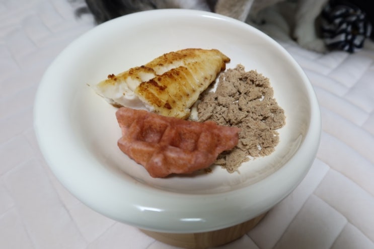  중형견 강아지 밥그릇 두그루 도자기 식기 우드앤볼