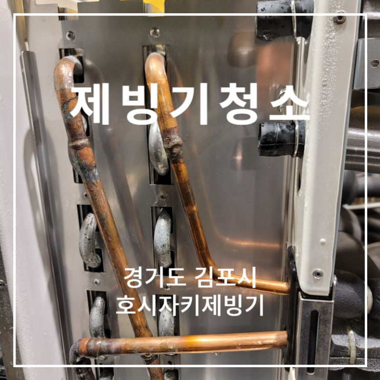  경기도 김포시 호시자키 제빙기 청소 친환경 세제 관리 세척하기