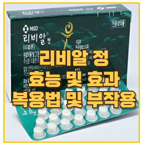  갱년기 증상 자연스럽게 완화하는 비결 리비알정 효과와 복용법 총정리