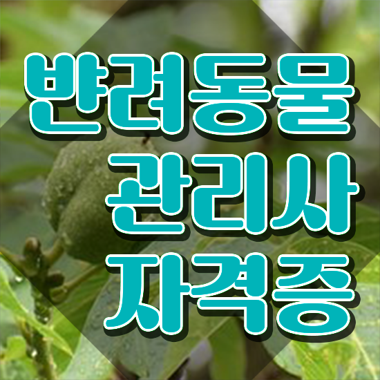  반려동물관리사 학원 , 반려동물관리사 자격증 취득한 과정 알아볼까요